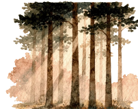 Illustration: ruhiger Wald als Symbol für innere Balance